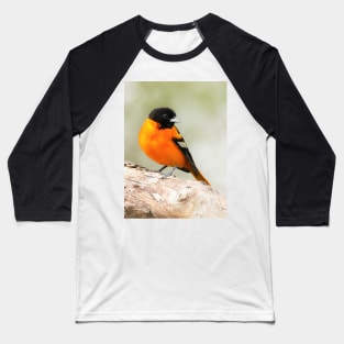 Baltimore Oriole Portrait Baseball T-Shirt